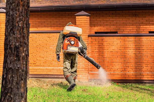 Trusted Bed Bug Control service in White Haven, PA - Nex Pest Control